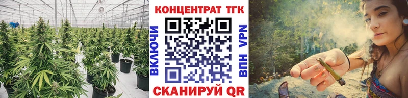 ТГК THC oil  даркнет сайт  площадка как зайти  Салаир 