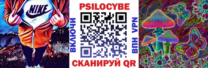 Псилоцибиновые грибы Cubensis  магазин  наркотиков  Салаир 